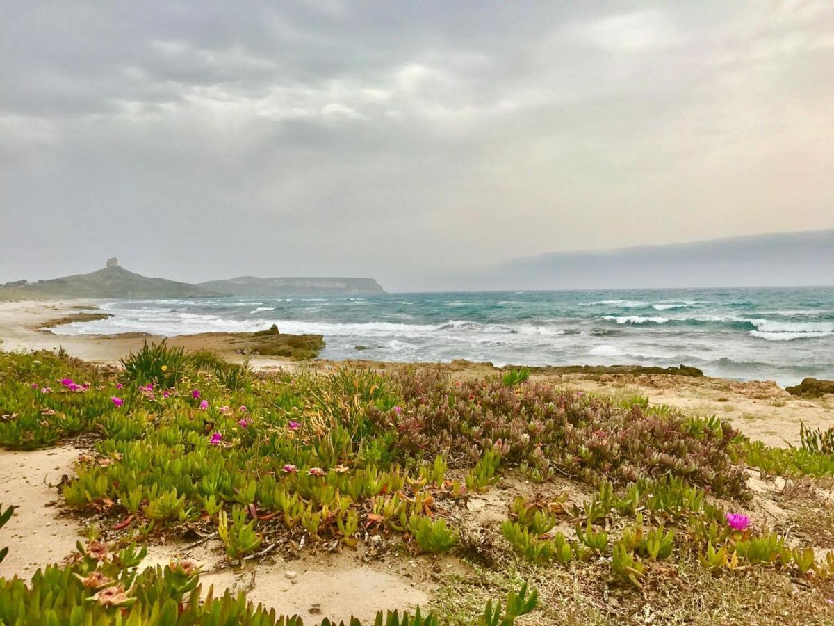 West Sardinia Apartment 2 Càbras Екстериор снимка
